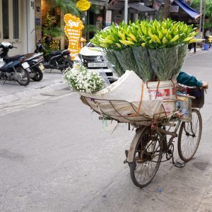 Unterwegs zum Flower market